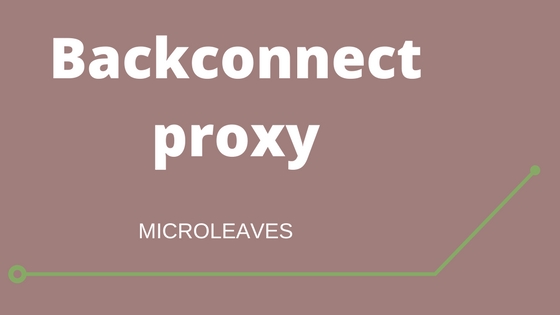 Backconnect proxy