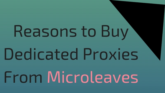 Reasons to Buy Dedicated Proxies