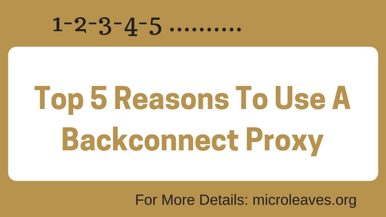 Reasons To Use A Backconnect Proxy