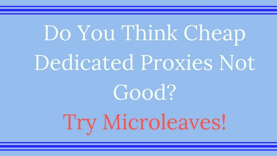 try microleaves cheap dedicated proxies