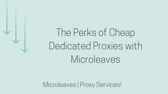 Perks of Cheap dedicated proxies